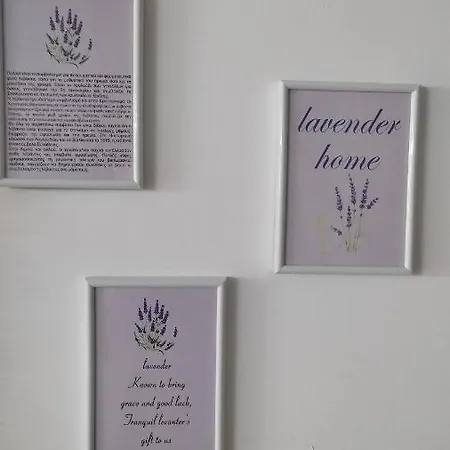 Lavender