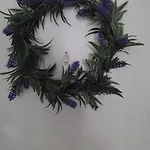 Lavender Vólos