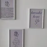 Lavender