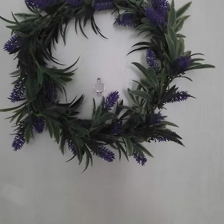 Lavender Volos