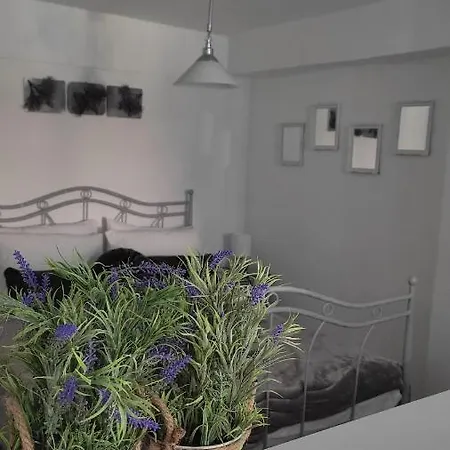 Lavender * 沃洛斯