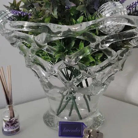 Lavender *