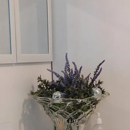 Apartment Lavender