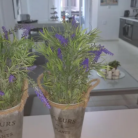 Lavender *