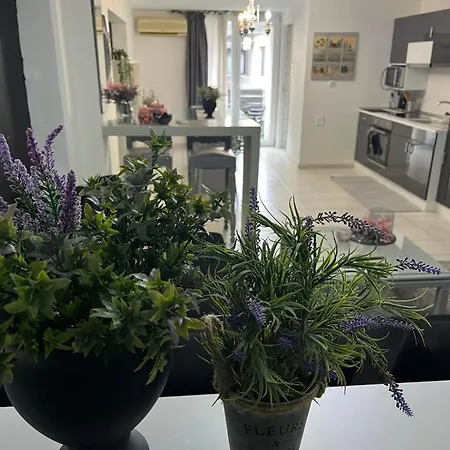شقة Lavender فولوس